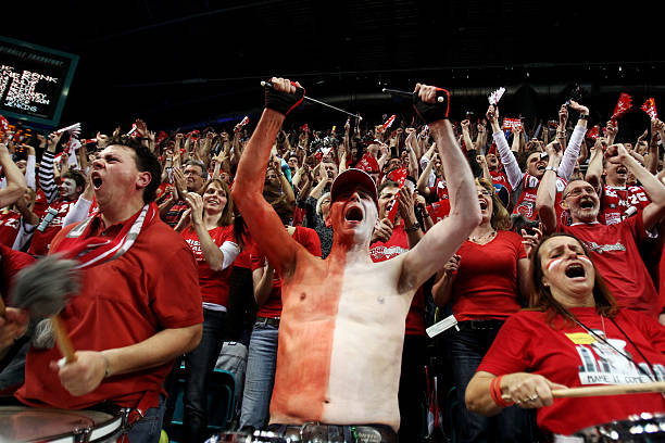 但在过去几 但在过去几